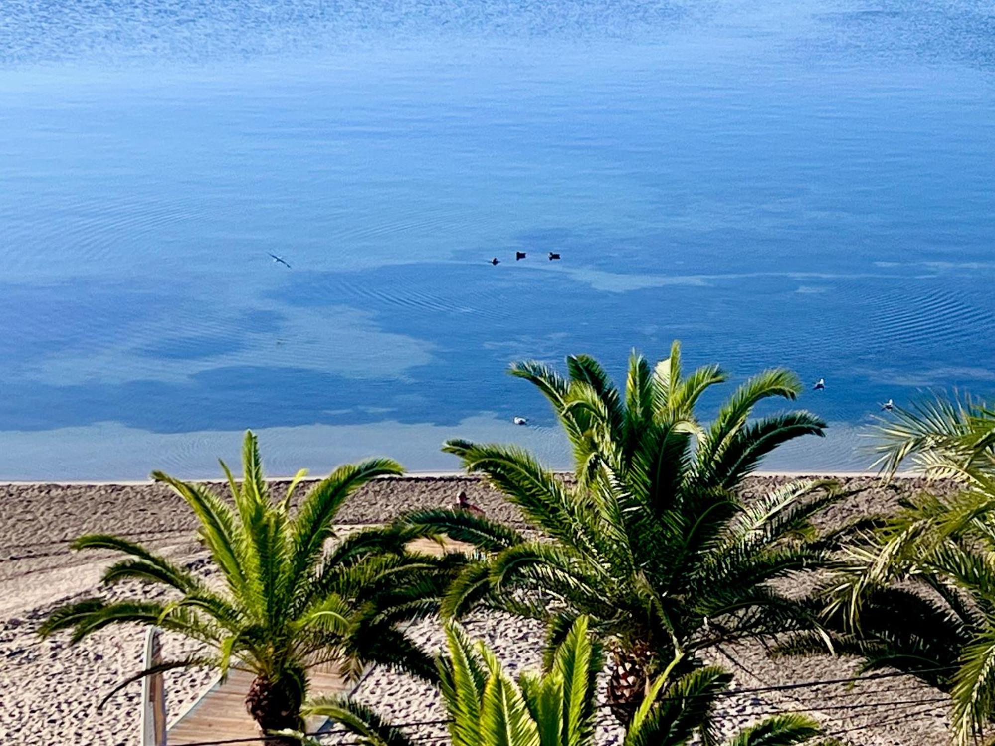 Hotel Neptuno سان بيذرو ذيل بيناتا المظهر الخارجي الصورة